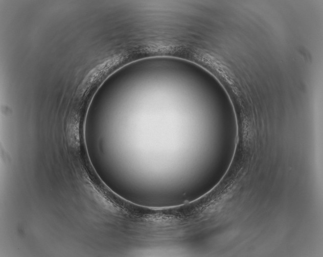 X0000090920633200708061543