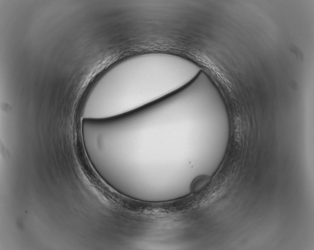 X0000090920634200708061543