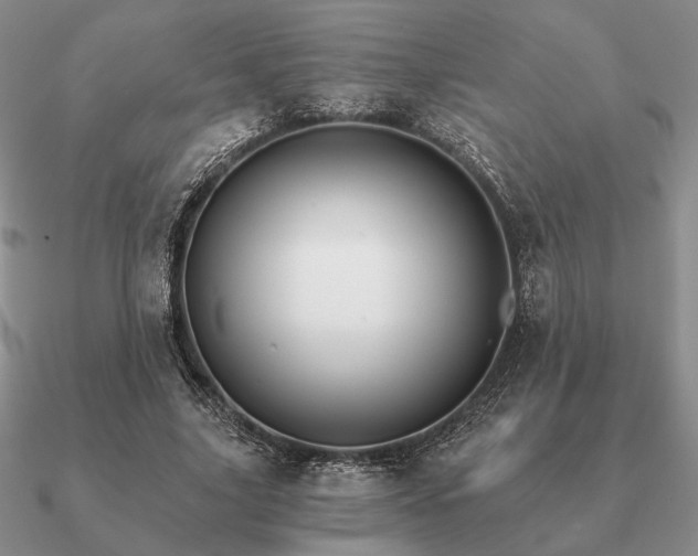 X0000090920635200708061543