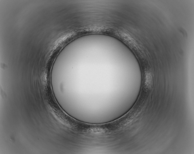 X0000090920636200708061543