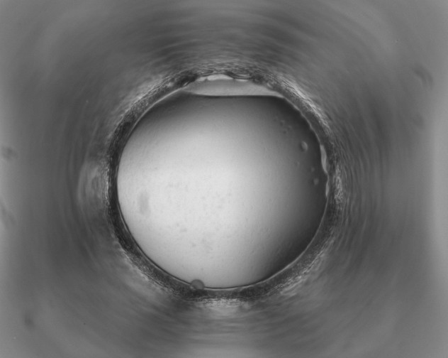 X0000090920637200708061543