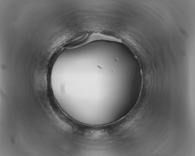 X0000090920638200708061543