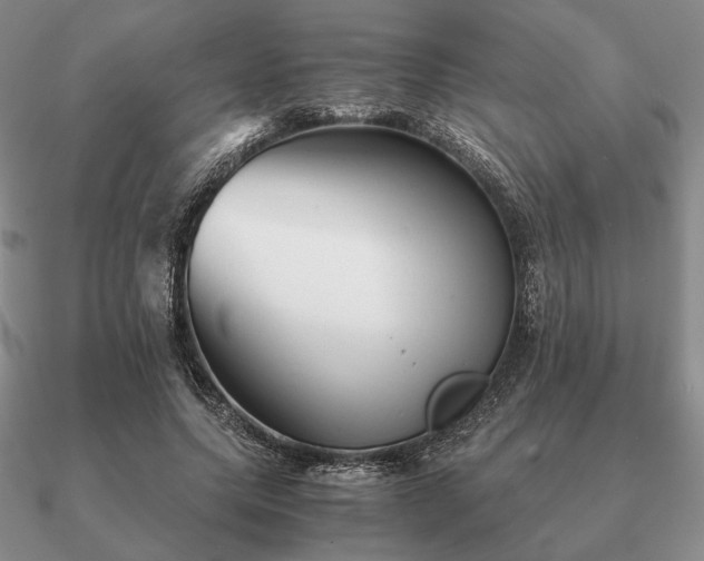 X0000090920639200708061543