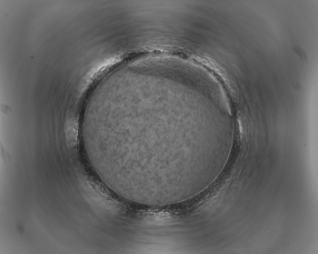 X0000090920640200708061543