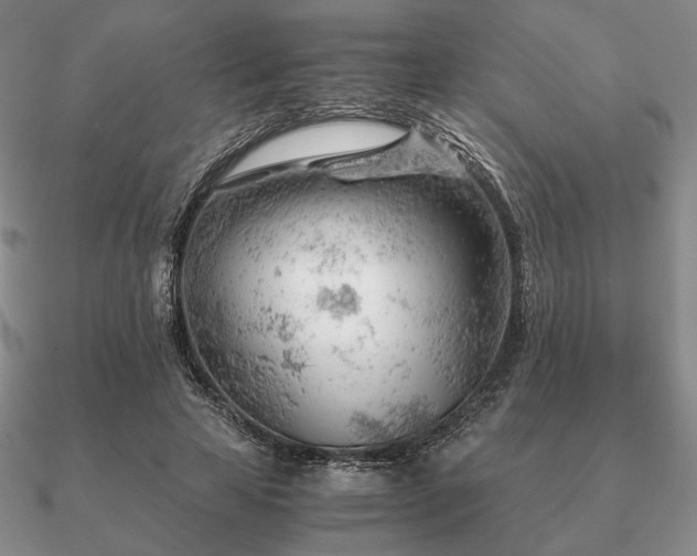 X0000090920641200708061543