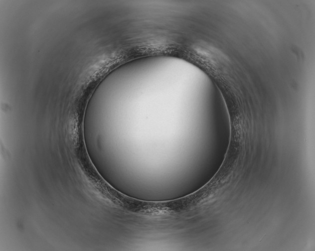 X0000090920642200708061543