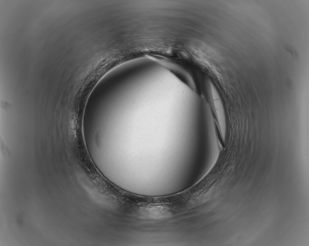 X0000090920643200708061543