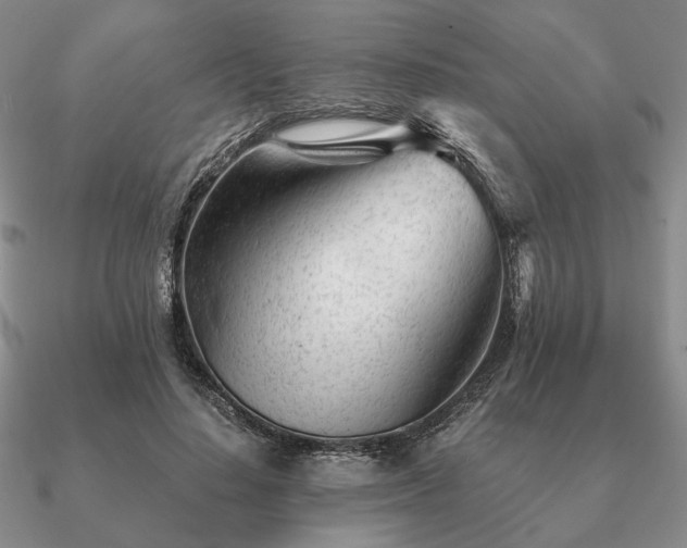 X0000090920644200708061543