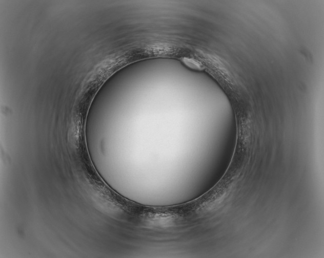 X0000090920645200708061543