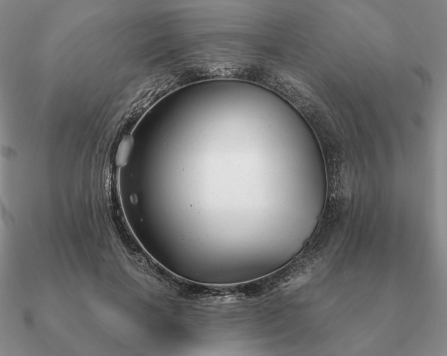 X0000090920646200708061543