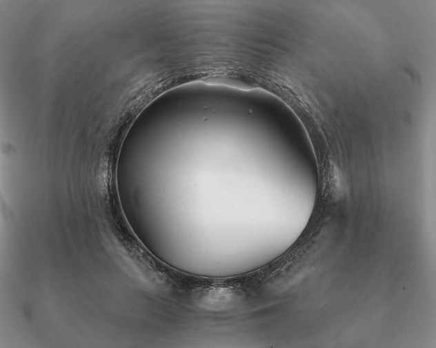 X0000090920647200708061543