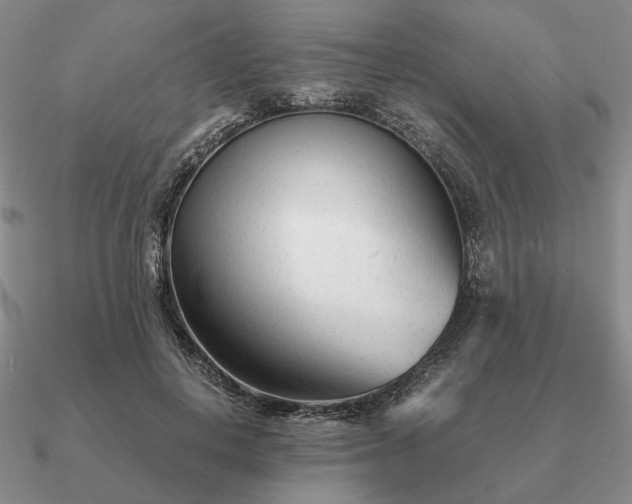 X0000090920648200708061543