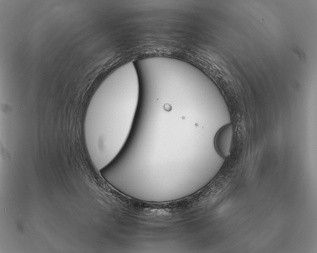 X0000090920649200708061543