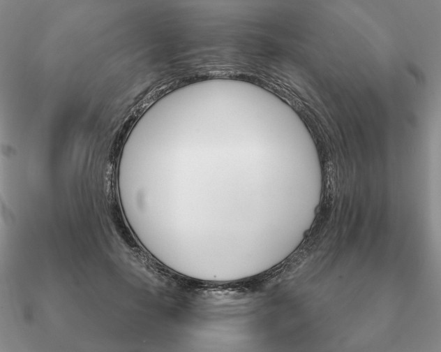 X0000090920650200708061544