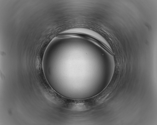 X0000090920651200708061544