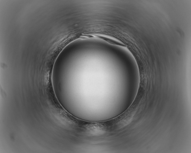 X0000090920652200708061544