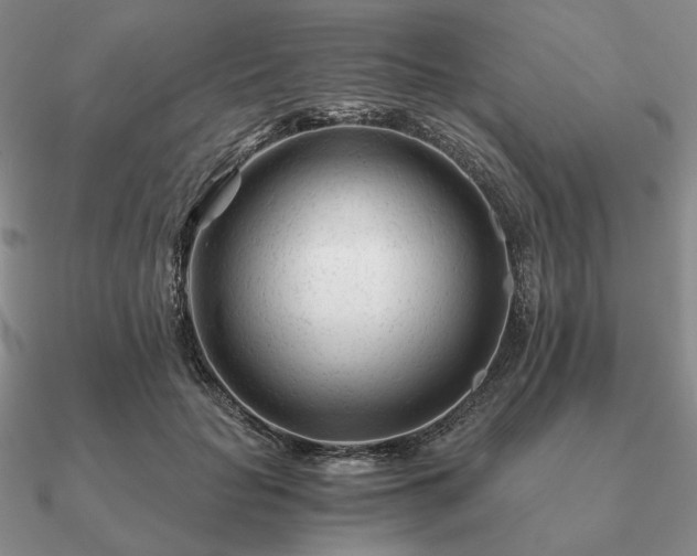 X0000090920653200708061544