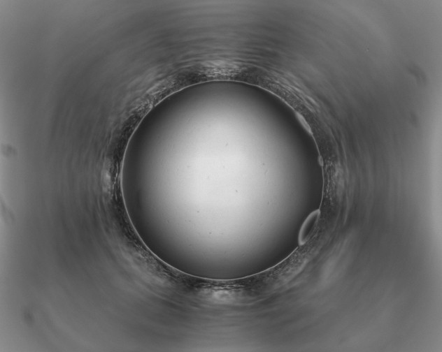 X0000090920655200708061544