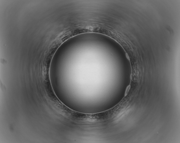 X0000090920656200708061544