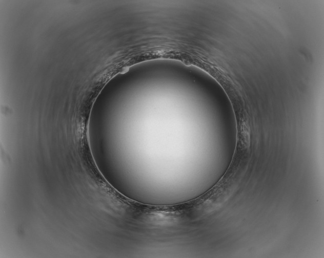 X0000090920657200708061544