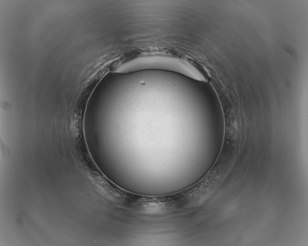 X0000090920658200708061544