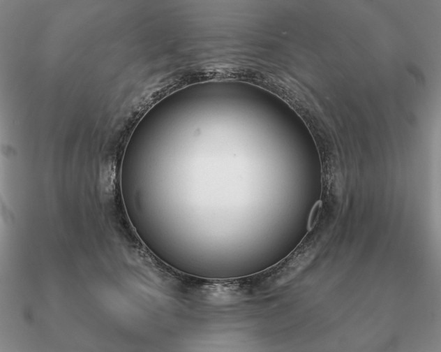 X0000090920660200708061544