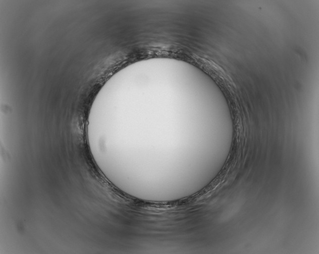 X0000090920661200708061544