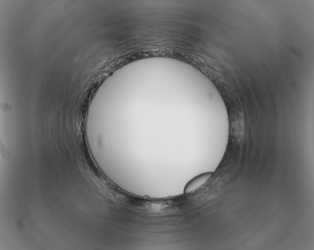 X0000090920662200708061544