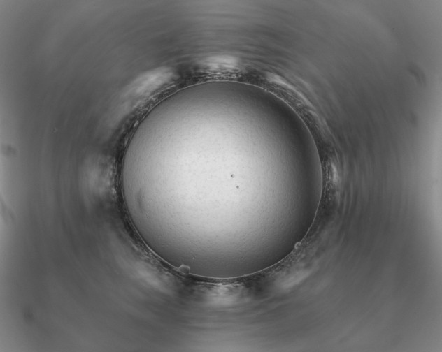 X0000090920663200708061544