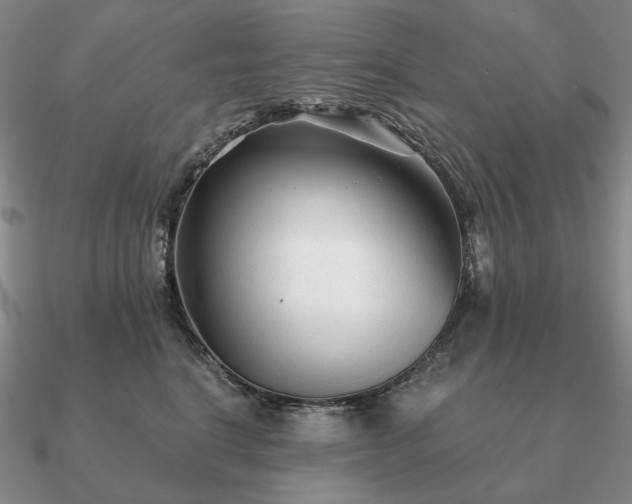 X0000090920664200708061544