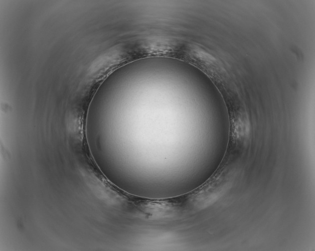 X0000090920666200708061544