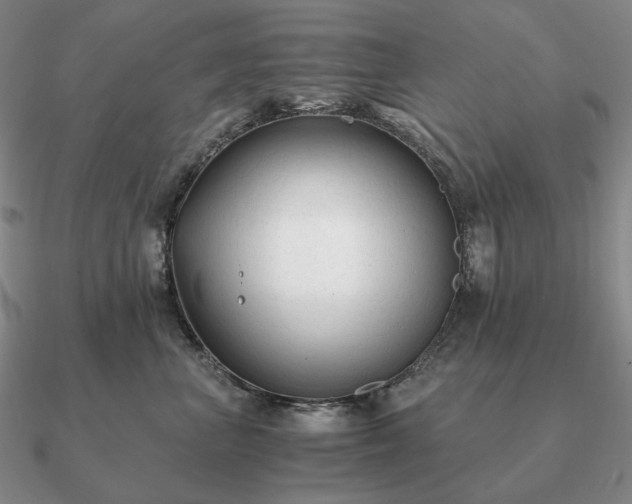 X0000090920667200708061544