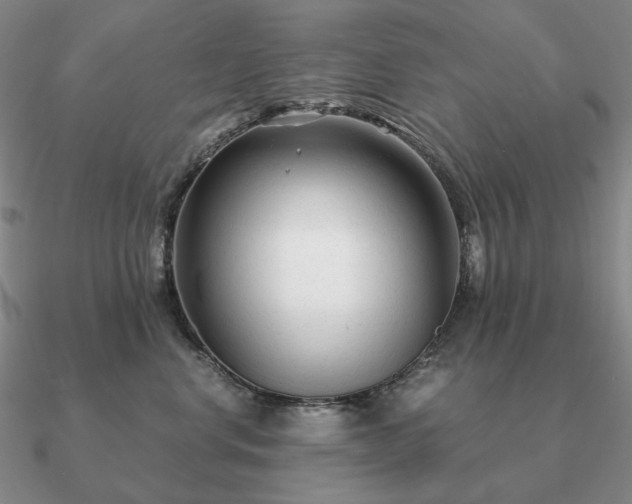 X0000090920668200708061544