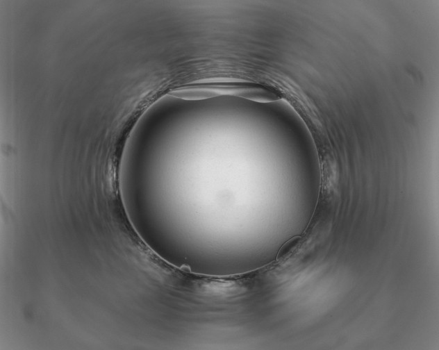 X0000090920669200708061544