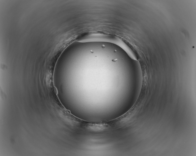 X0000090920671200708061544