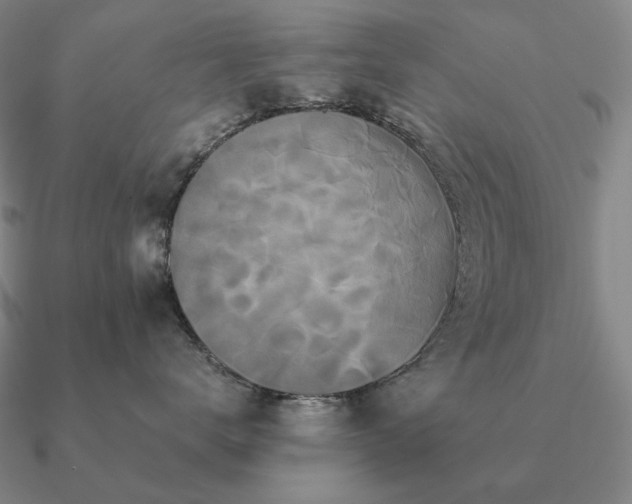 X0000090920672200708061544