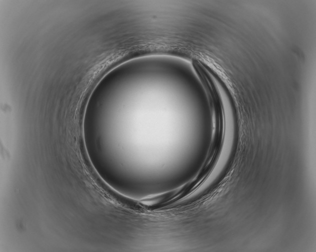 X0000090920673200708061543