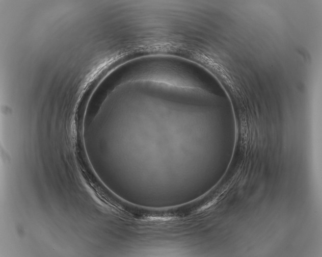 X0000090920674200708061543