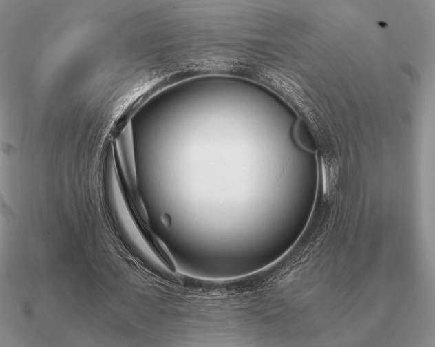 X0000090920675200708061543