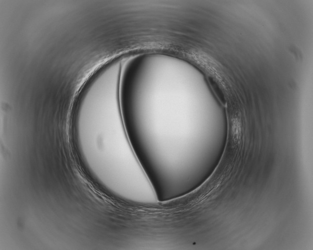 X0000090920676200708061543