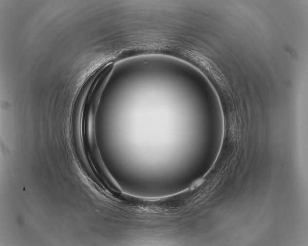 X0000090920677200708061543