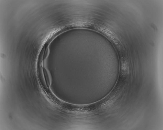 X0000090920678200708061543