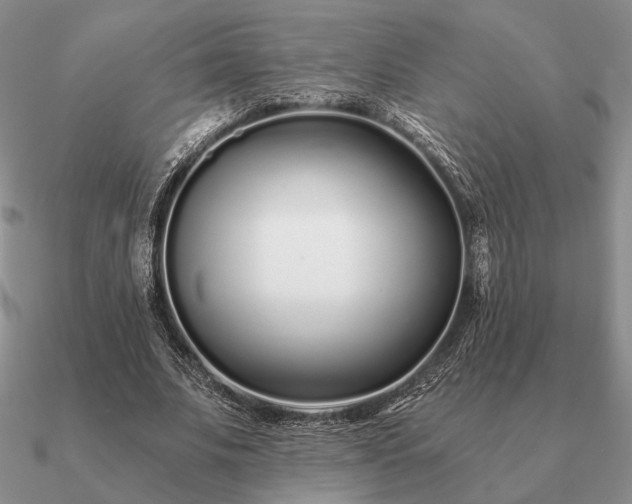 X0000090920679200708061543