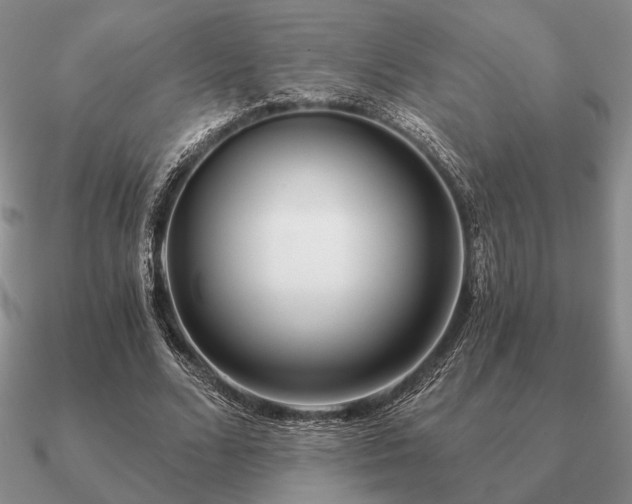 X0000090920680200708061543