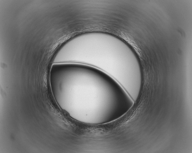 X0000090920681200708061543