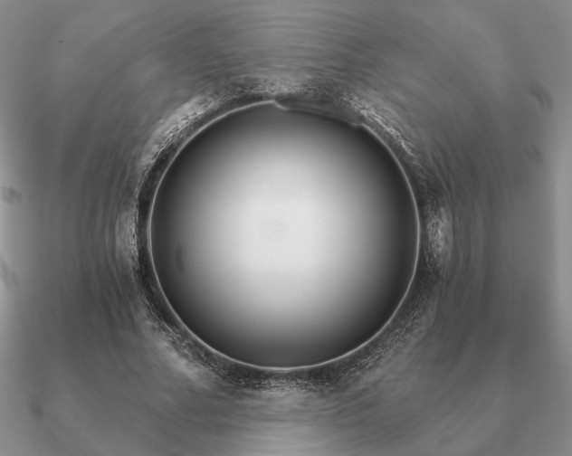 X0000090920682200708061543