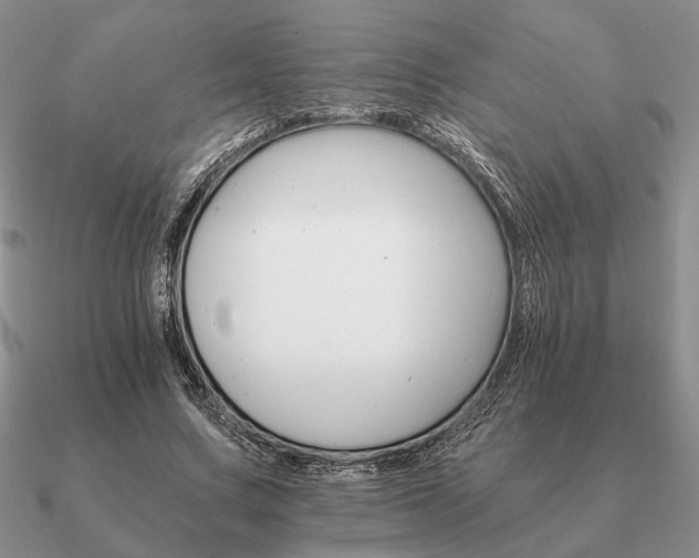 X0000090920683200708061543