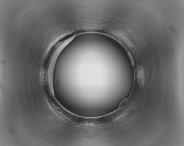 X0000090920684200708061543