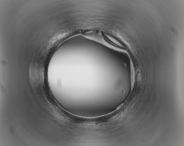 X0000090920685200708061543