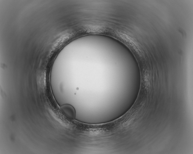 X0000090920686200708061543